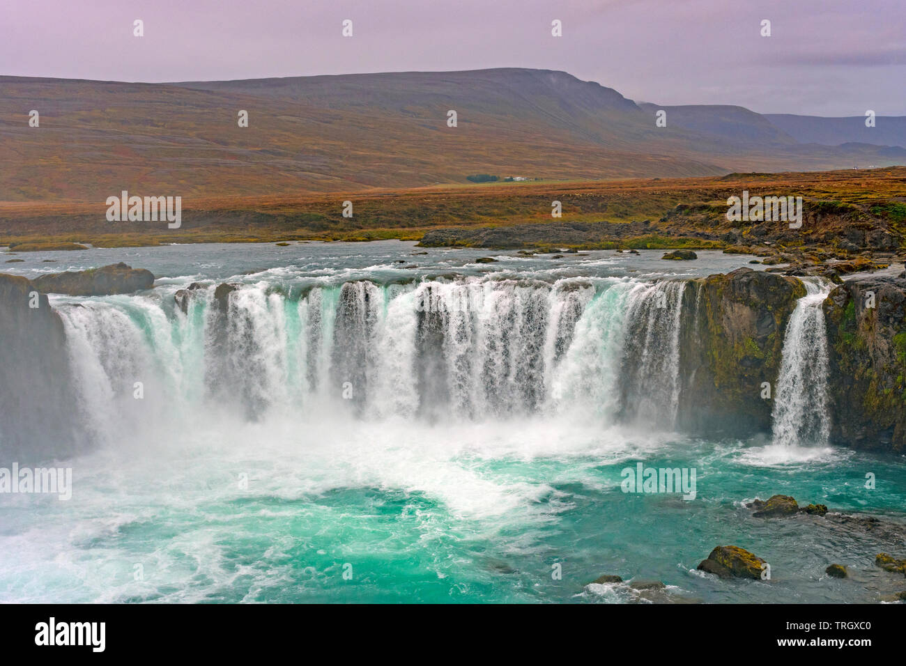 Dramatic Godafoss Falls on a Tundra Landscape in Northern Iceland Stock Photo