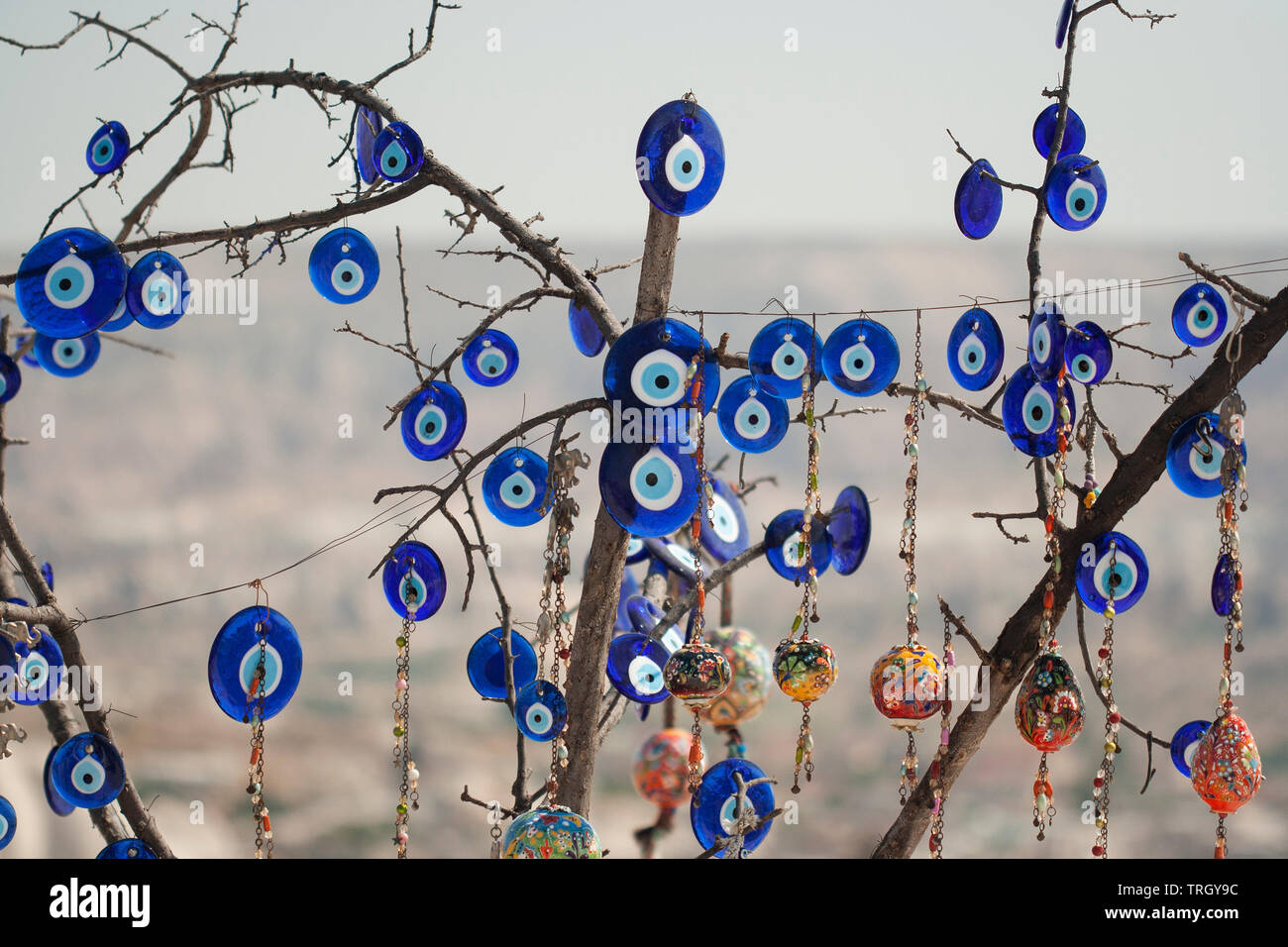 El Nazar Charms for sale, hanging from a tree in Cappadocia Turkey Stock Photo