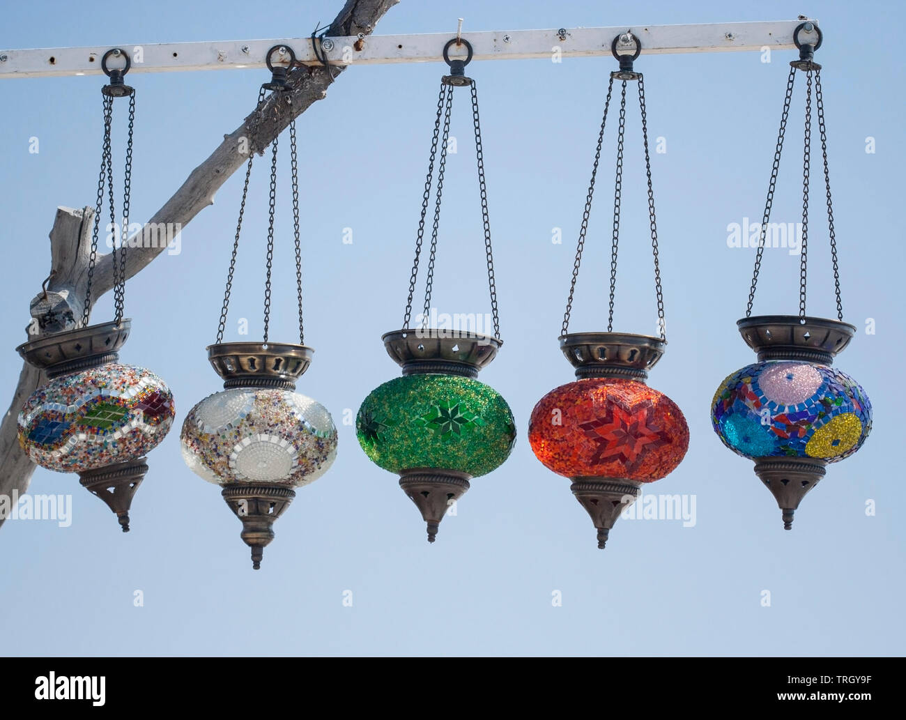 Turkish lamps for sale, hanging from a tree against the sky Stock Photo