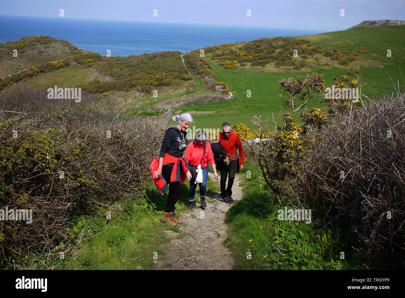 Walkers on the South West Coast Path between Boscastle and Tintagel in Cornwall, UK. Stock Photo