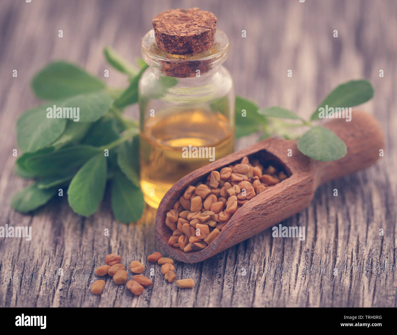 Fenugreek seeds with oil in bottle on wooden background Stock Photo