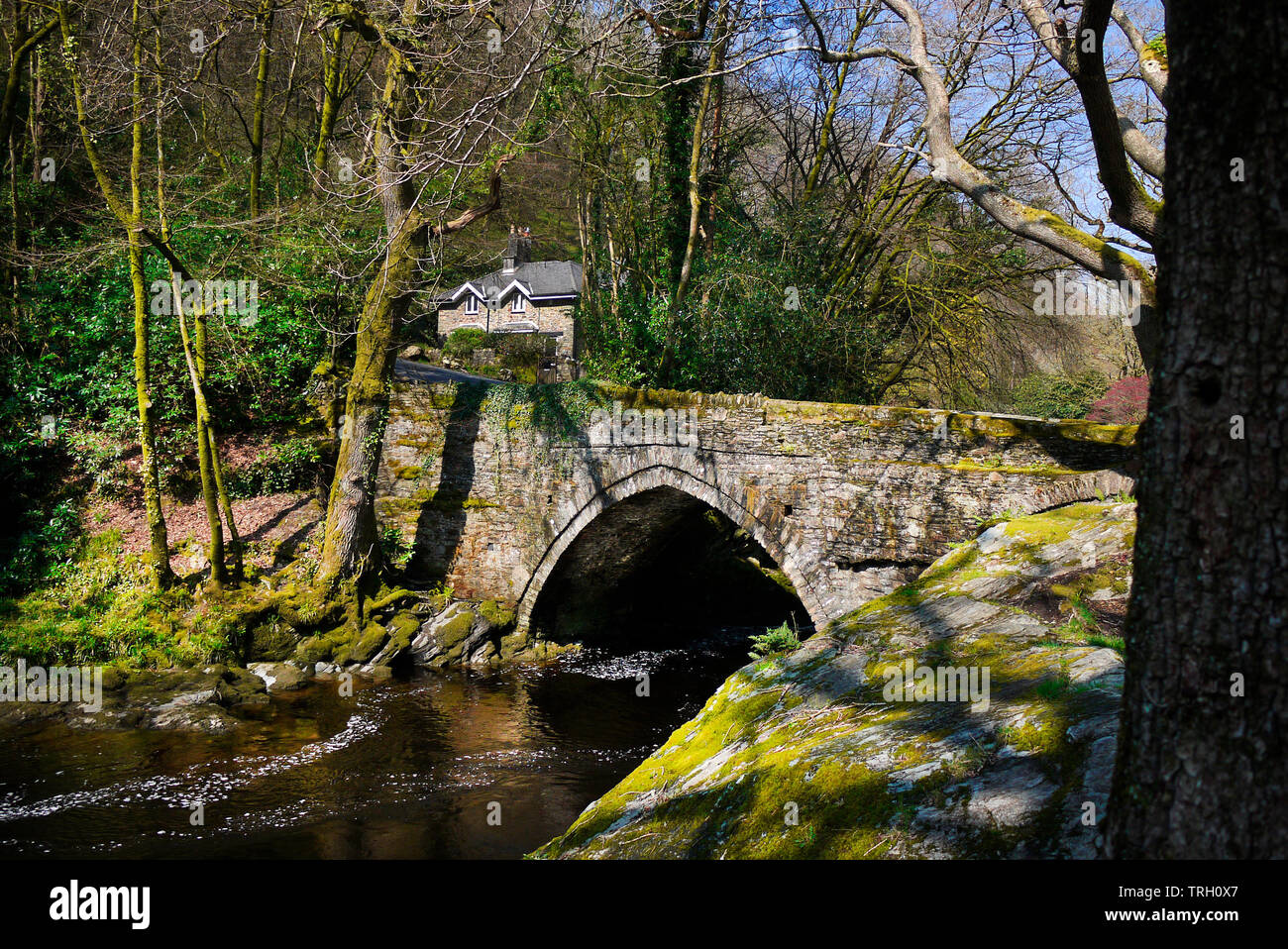 Denham Bridge, Buckland Monachorum, Devon, UK Stock Photo Alamy