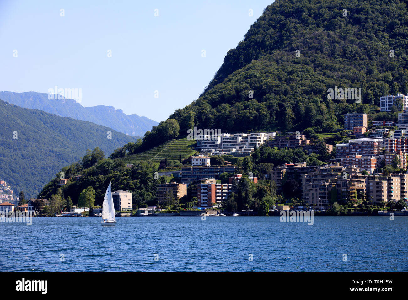 Babes in Lugano