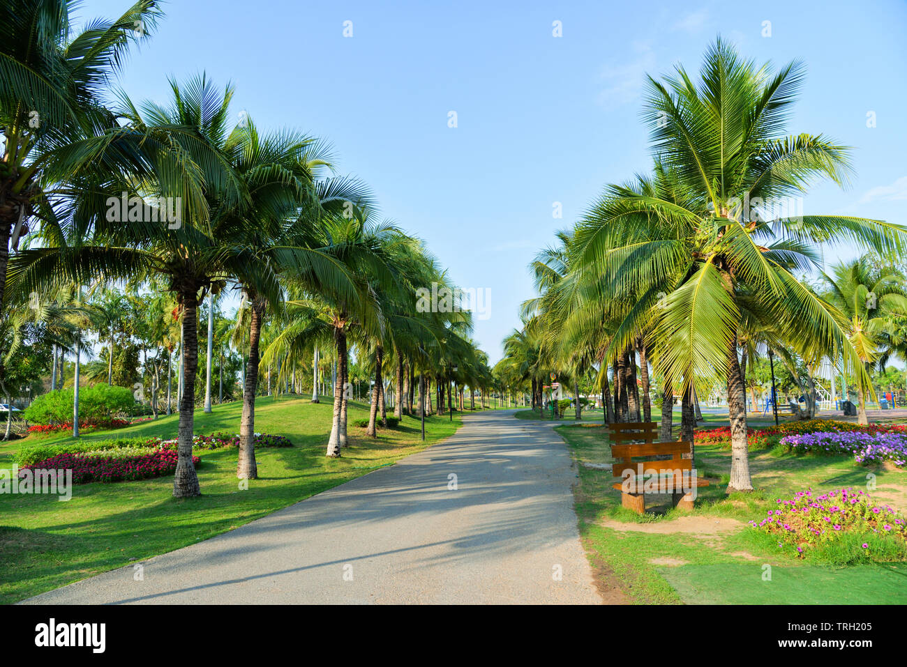 Riyadh forest hi-res stock photography and images - Alamy