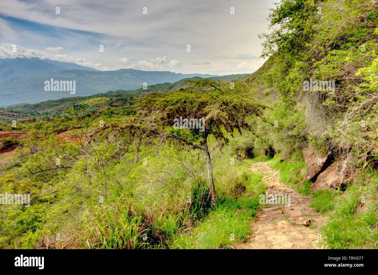 Camino Real, Santander, Colombia Stock Photo Alamy