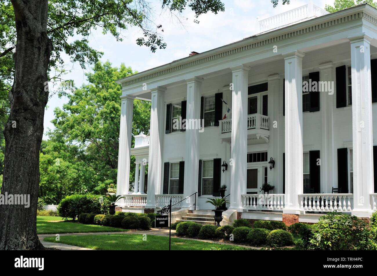 Shiloh battle hires stock photography and images Alamy