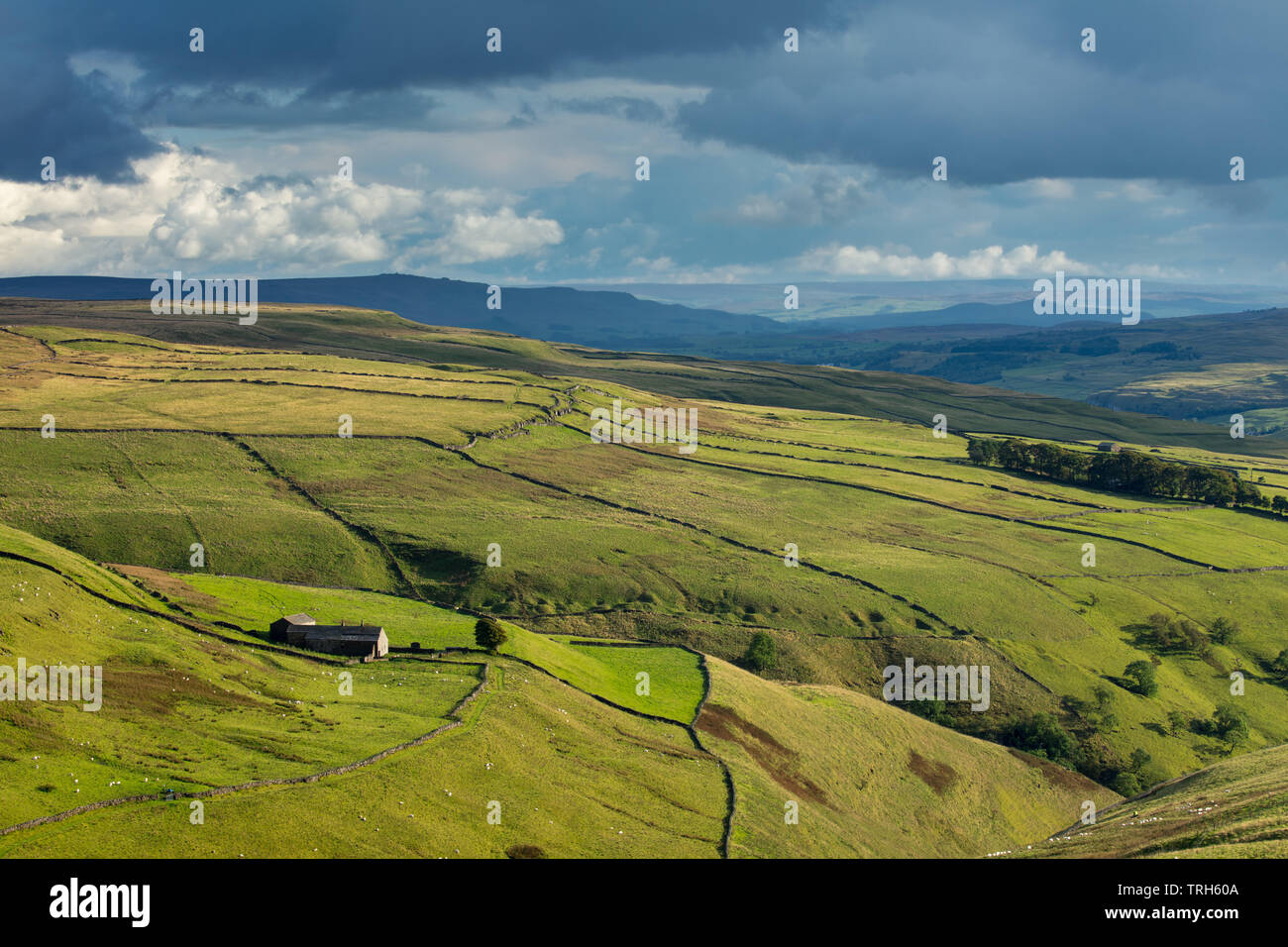 Hooksbank and Wharfedale, Kettlewell, Yorkshire Dales National Park, England, UK Stock Photo