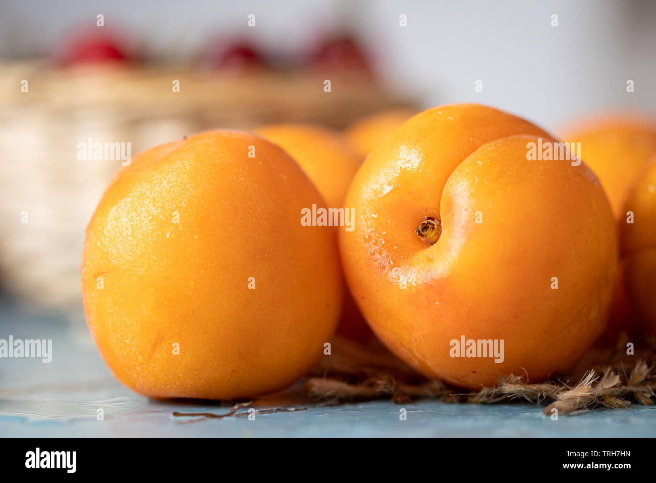 Fresh ripe armenian plums (Prunus armeniaca) on blue rustic wooden