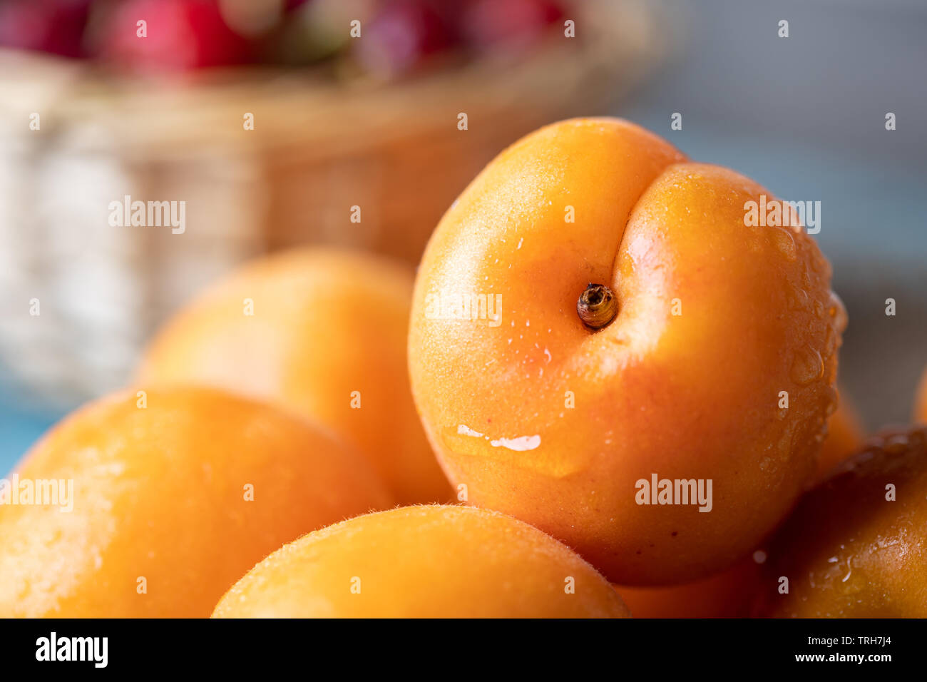 Fresh ripe armenian plums (Prunus armeniaca) on blue rustic wooden