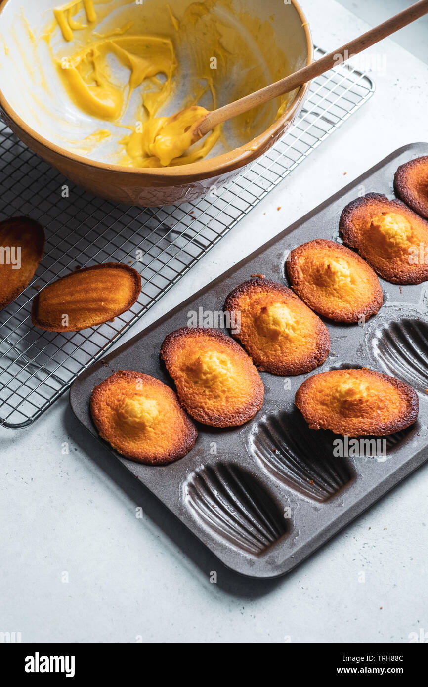 French Madeleines Stock Photo