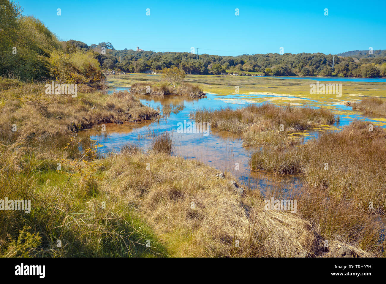 A picturesque wild nature. Natural Reserve (Natural resources) Marisma de Joyel. Cantabria, Spain, Europe Stock Photo