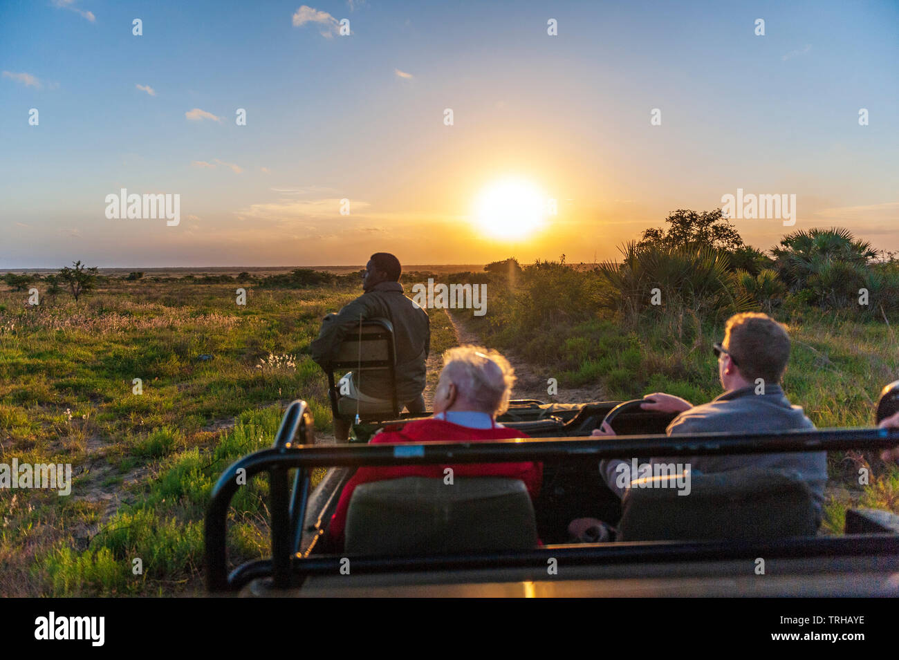 On a sunset game drive at the Phinda Private Game Reserve, an andBeyond owned nature reserve in eastern South Africa. Stock Photo