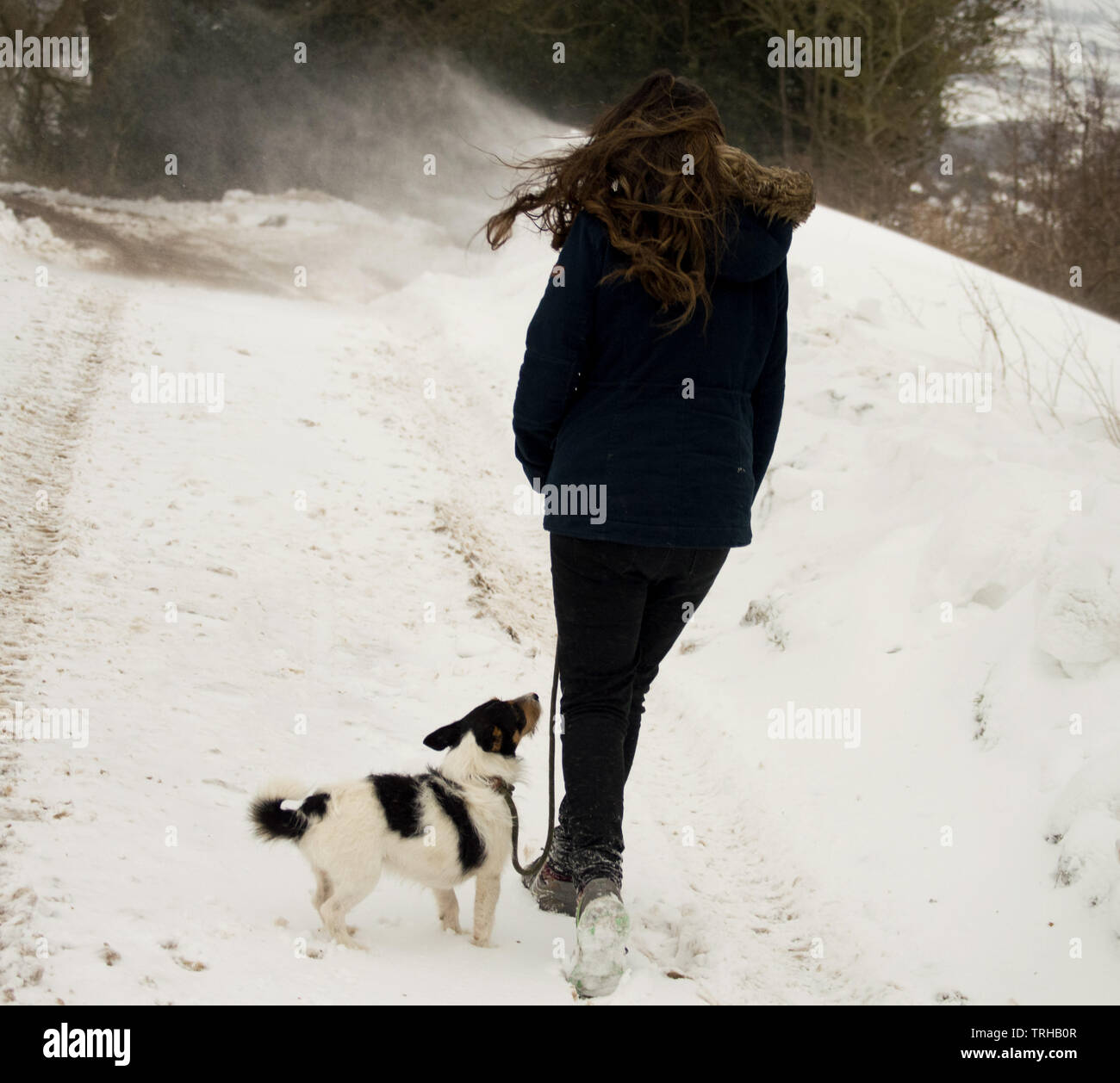 Young girl walks in the evening with her long brown hair and the falling snow blowing in the wind with her faithful best friend her Jack Russell dog Stock Photo