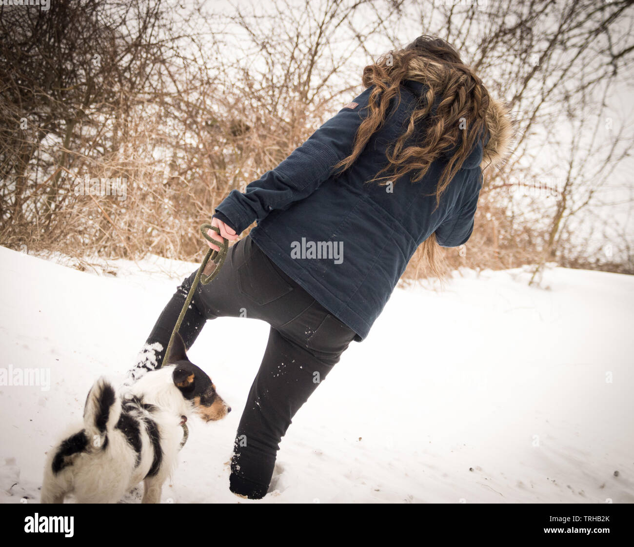 Young girl walks in the evening with her long brown hair and the falling snow blowing in the wind with her faithful best friend her Jack Russell dog Stock Photo