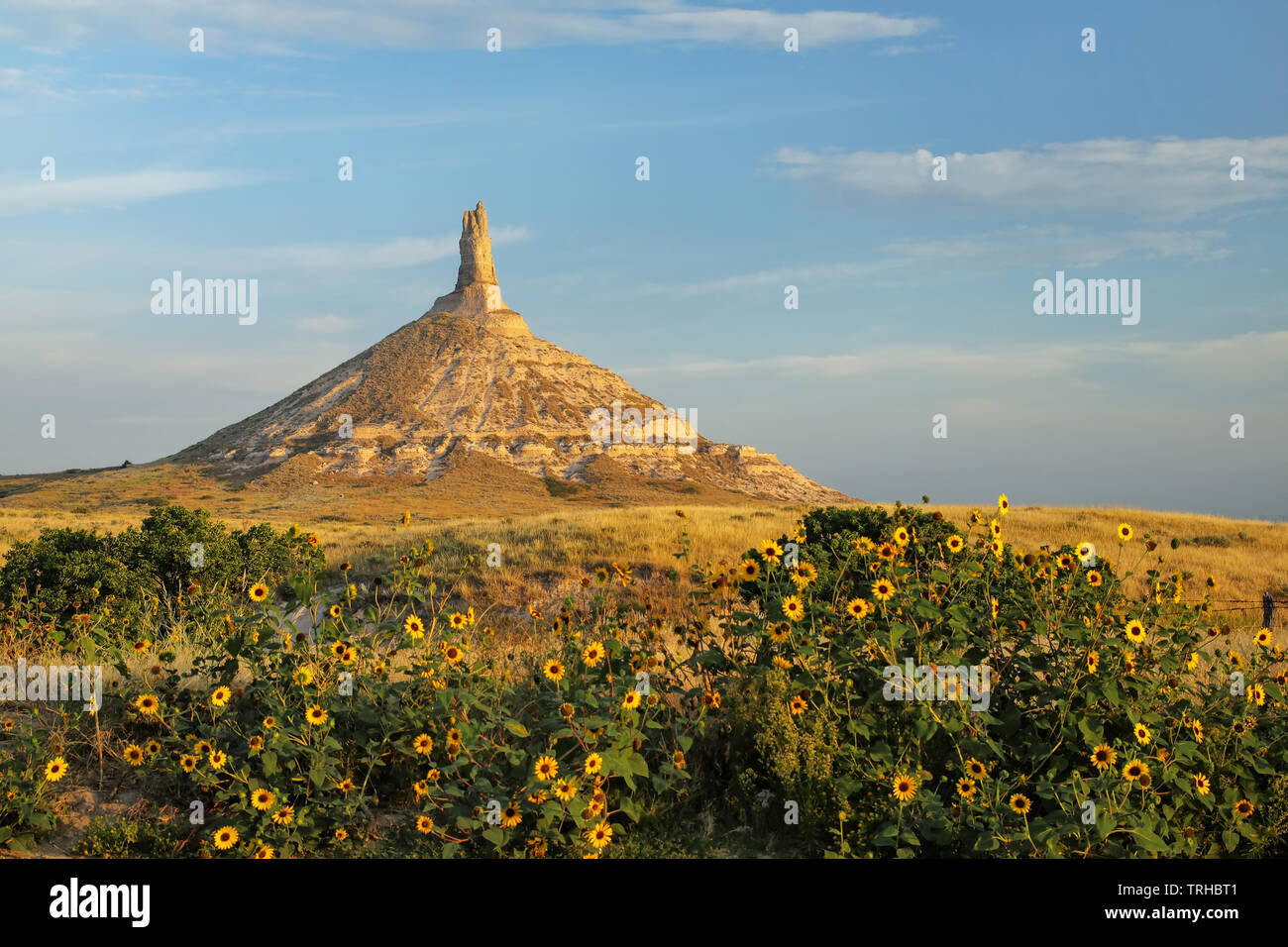 Chimney Rock National Historic Site with sunflowers, western Nebraska, USA. The peak of Chimney Rock is 1289 meters above sea level. Stock Photo