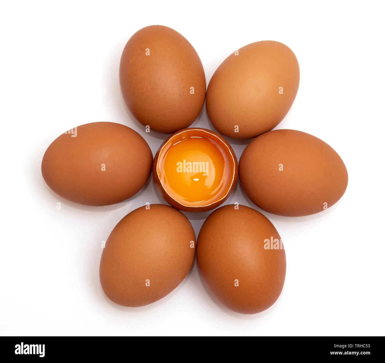 flower of egg on white background Stock Photo