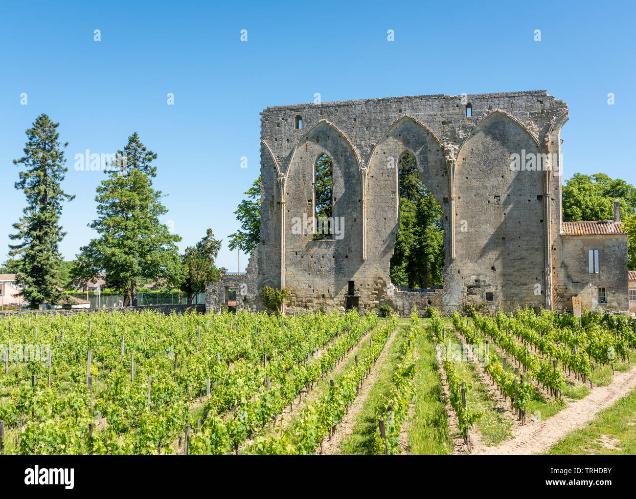 Saint-Emilion (Gironde, France), vineyards and ruins of an abbey in the village Stock Photo