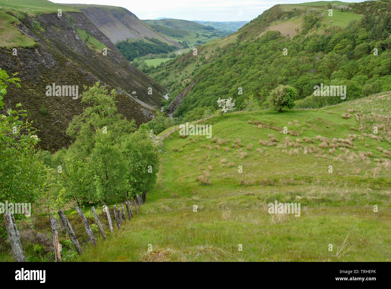 A view looking down Dylife Gorge in Wales showing v shaped valley with river Stock Photo
