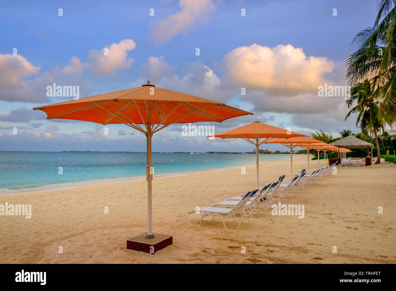 Parasols and sun loungers facing the Caribbean Sea on Seven Mile Beach, Grand Cayman, Cayman Islands Stock Photo