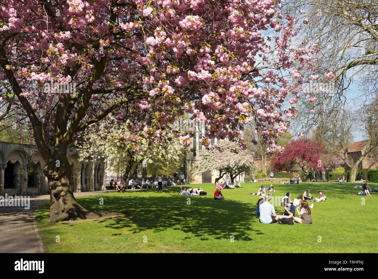 People sitting outside outdoors relaxing in the spring sunshine Deans Park York North Yorkshire England UK United Kingdom GB Great Britain Stock Photo