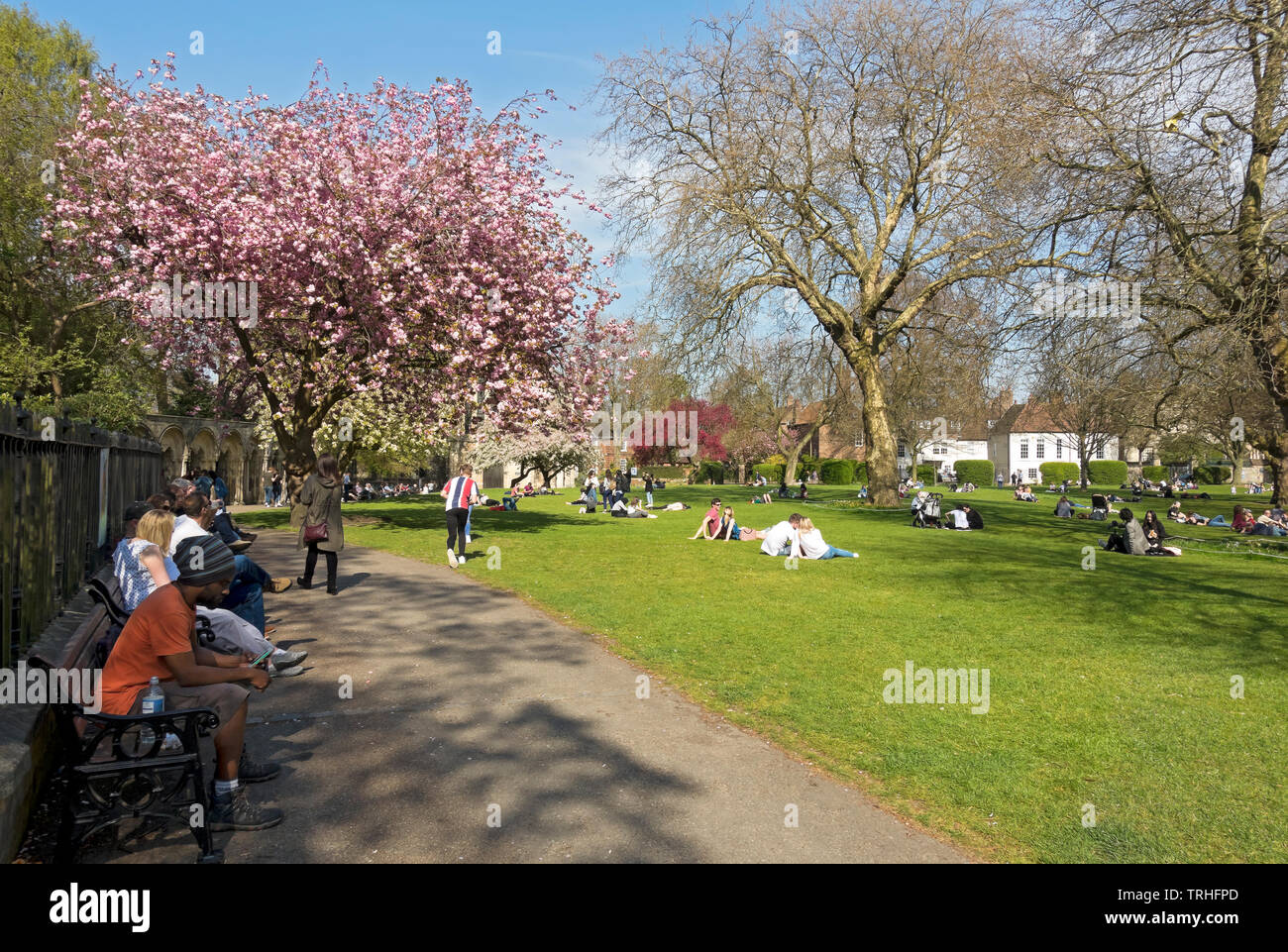 People sitting outside in the spring sunshine Deans Park York North Yorkshire England UK United Kingdom GB Great Britain Stock Photo