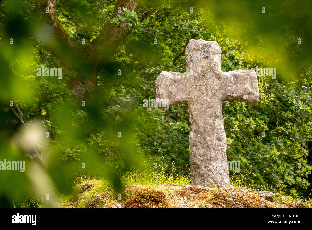 historic stone cross of stave church Fantoft surrounded by trees, Fantoftvegen Paradis, Hordaland, Norway, Scandinavia, Europe, Paradis, NOR, travel, Stock Photo