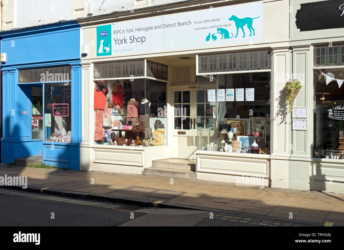 RSPCA charity animal charities shop store shops stores exterior York North Yorkshire England UK United Kingdom GB Great Britain Stock Photo