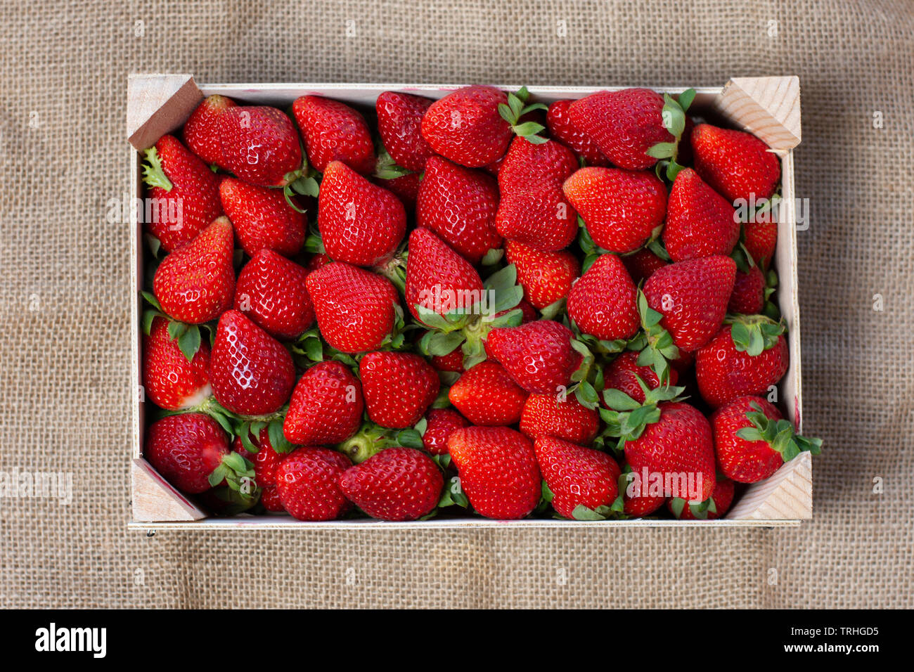 box of freshly picked seasonal strawberries Stock Photo