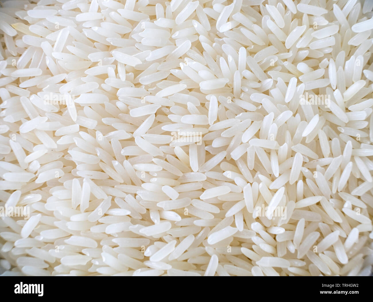 Close up rice seed white texture background Stock Photo - Alamy