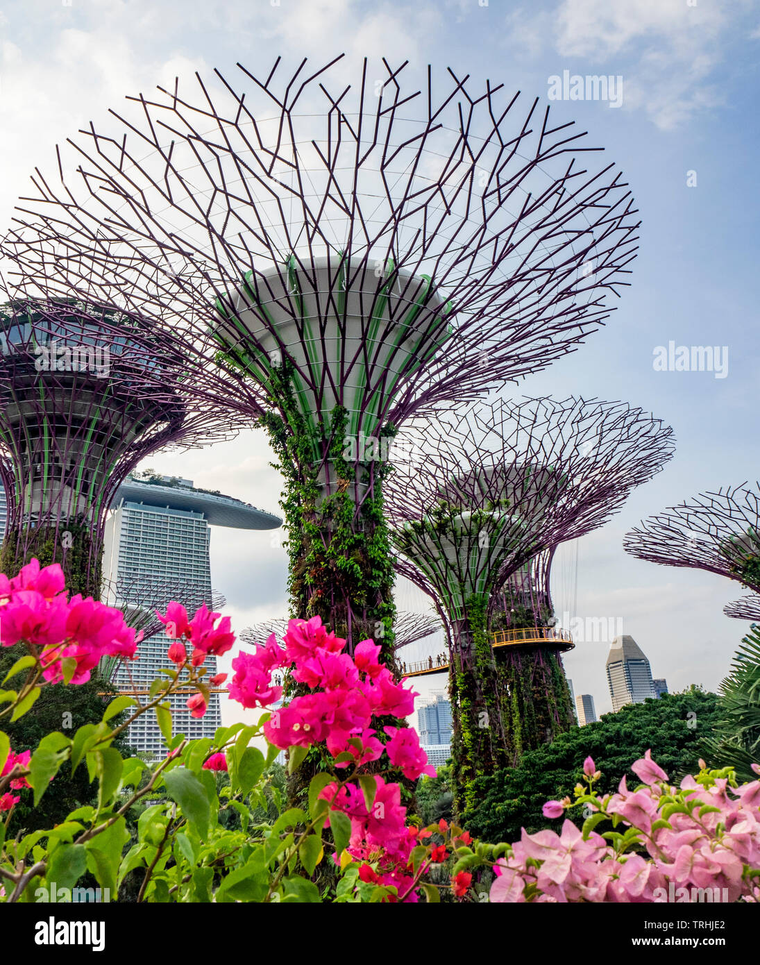 Steel lattice canopy and vertical gardens of artificial trees in the