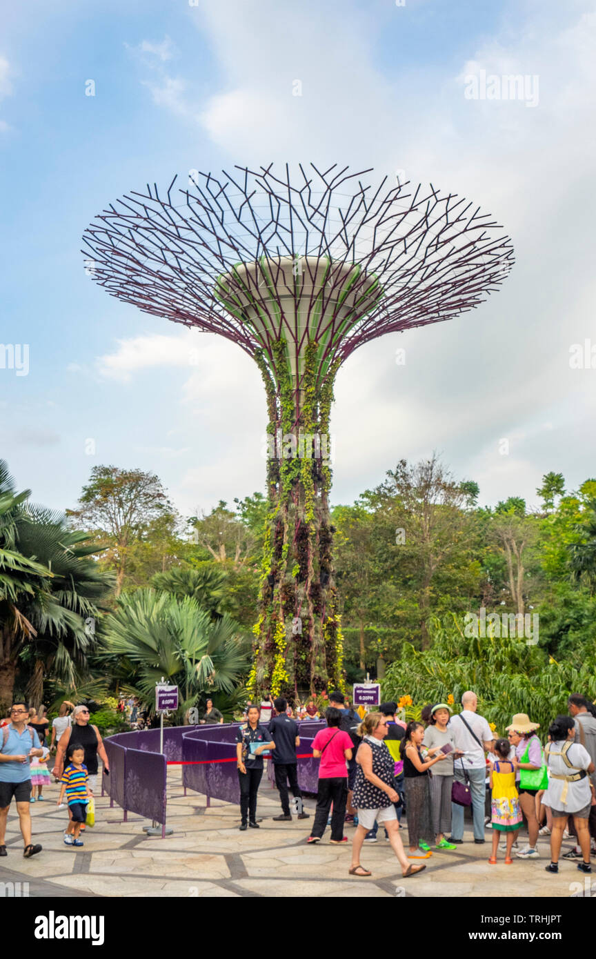 Tourists walking between artificial trees in the Supertree Grove