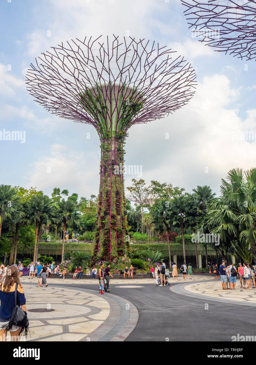 Tourists walking between artificial trees in the Supertree Grove