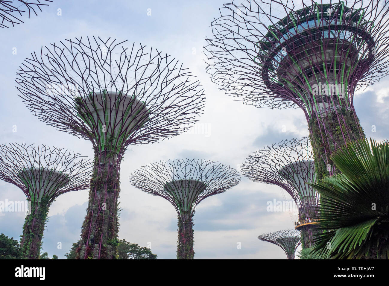 Steel lattice canopy and vertical gardens of artificial trees in the