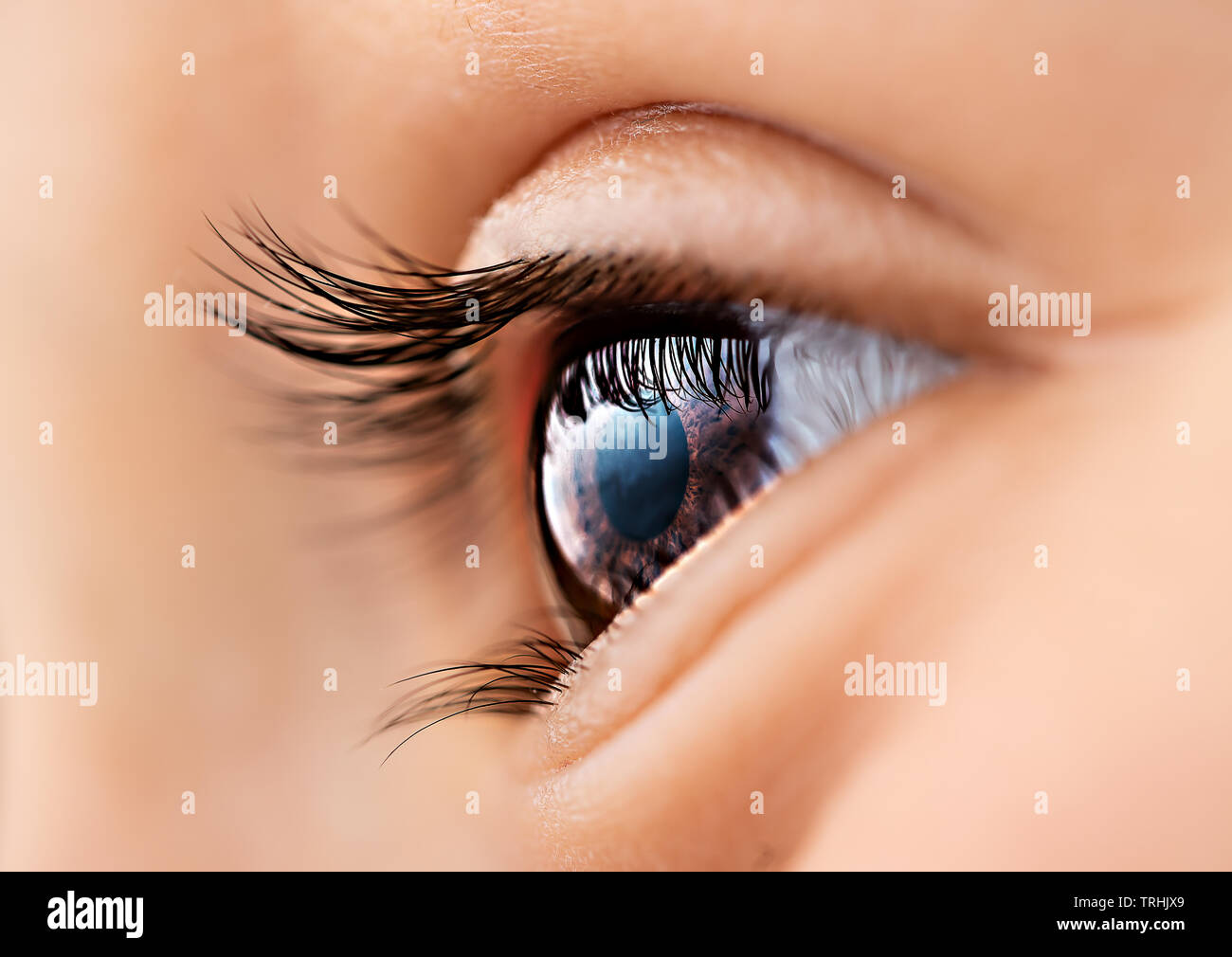 Eye of Child closeup. High detailed photo Stock Photo