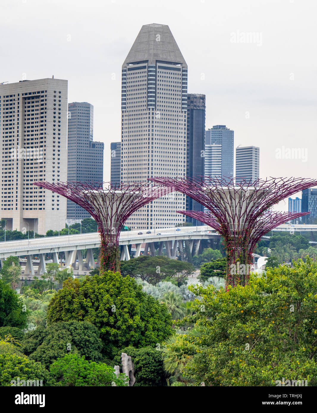 Millenia Tower and Supertree Grove vertical garden at Gardens by the Bay Singapore. Stock Photo