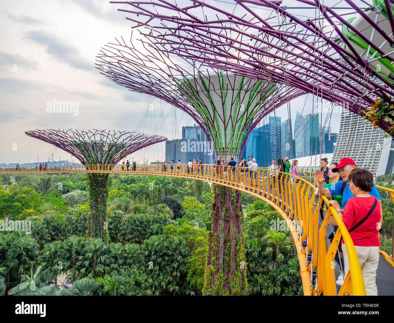 Tourists on the elevated walkway OCBC Skyway between two of the Supertrees in the Supertree Grove at Gardens by the Bay Singapore. Stock Photo
