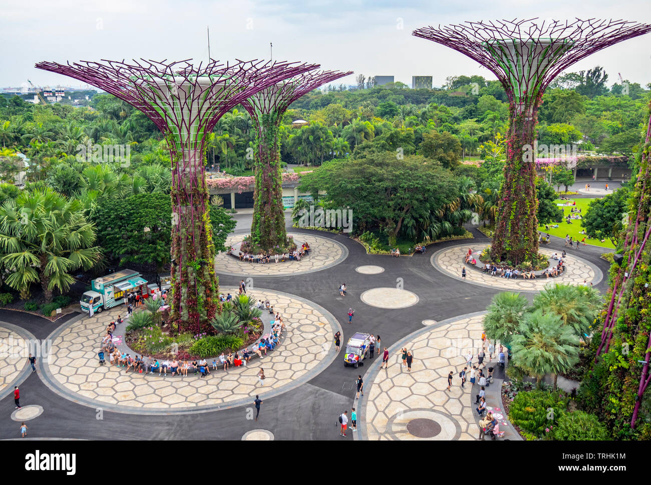 Tourists walking between artificial trees in the Supertree Grove