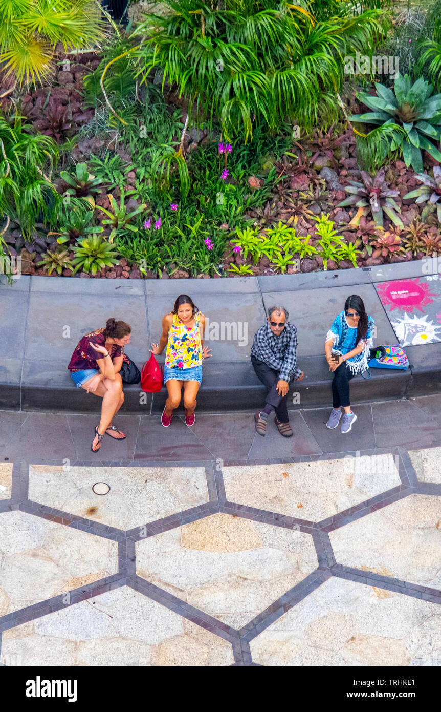 Tourists sitting at the concrete base of a Supertree at Gardens by the Bay Singapore. Stock Photo