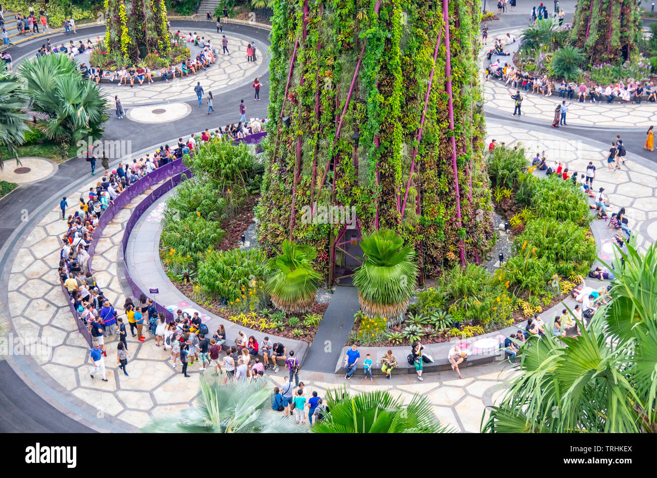 Queue of tourists waiting to go on the elevated walkway in the Supertree Grove at Gardens by the Bay Singapore. Stock Photo