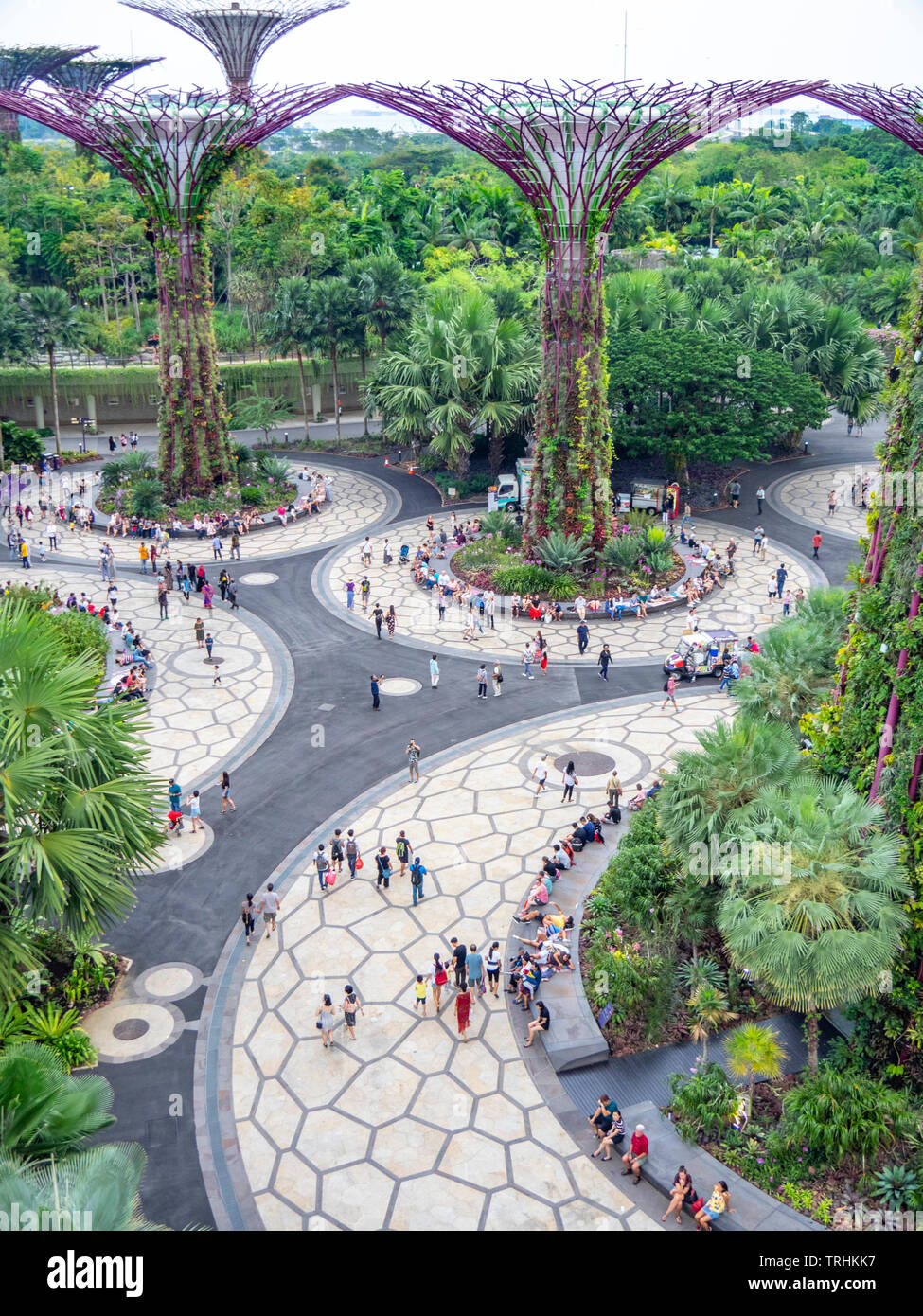 Tourists walking between artificial trees in the Supertree Grove
