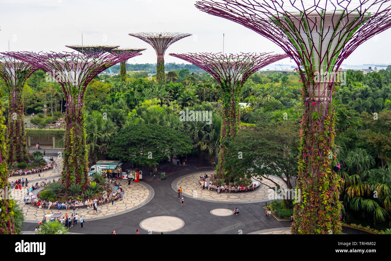Tourists walking between artificial trees in the Supertree Grove