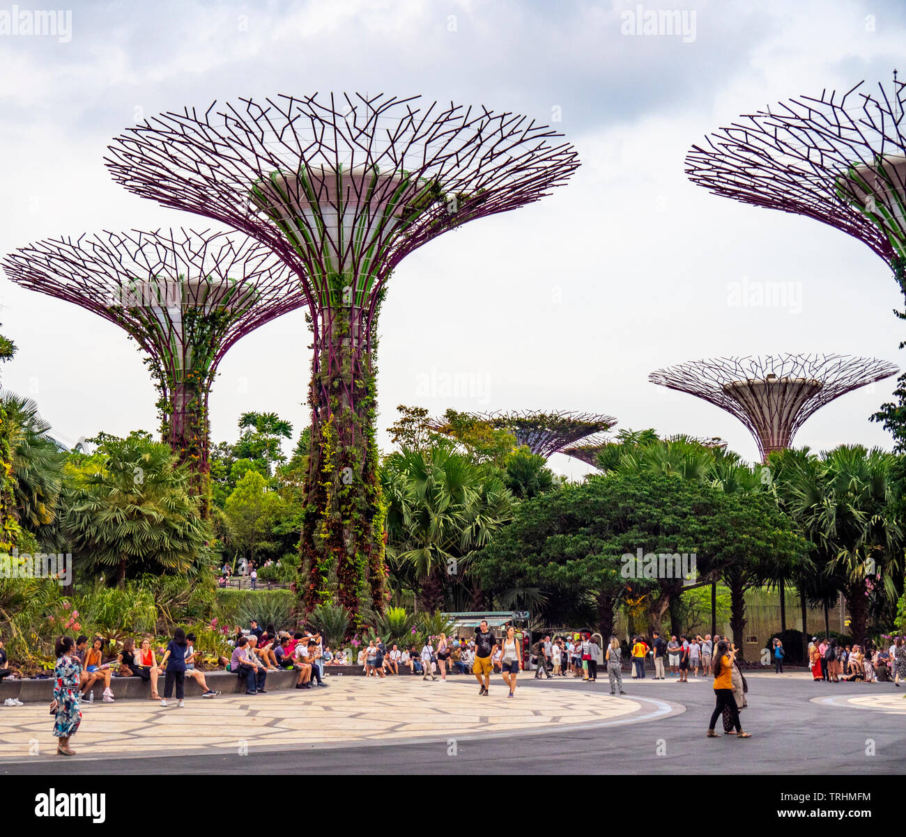 Tourists walking between artificial trees in the Supertree Grove