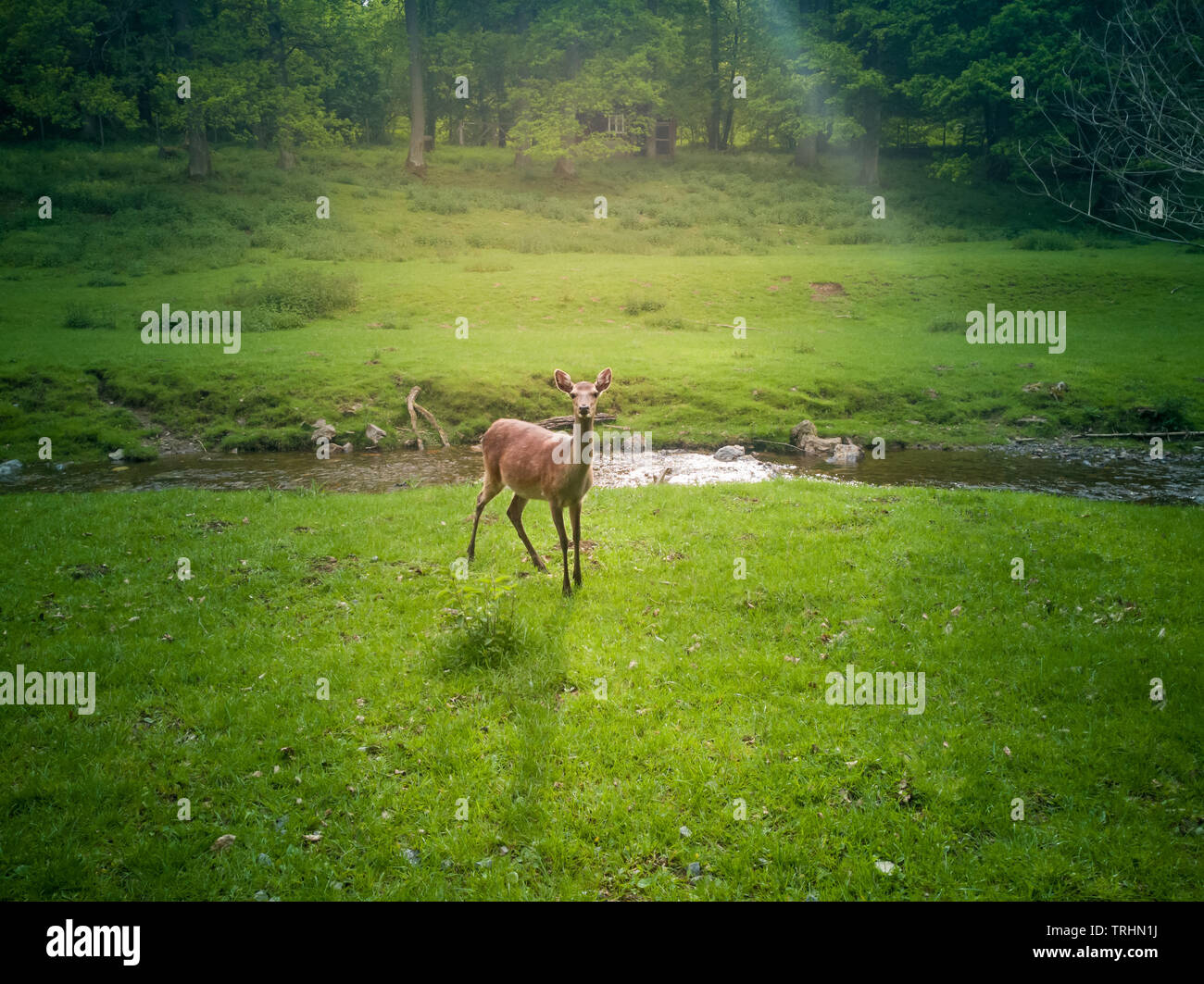 Back to the lens standing hi-res stock photography and images - Alamy