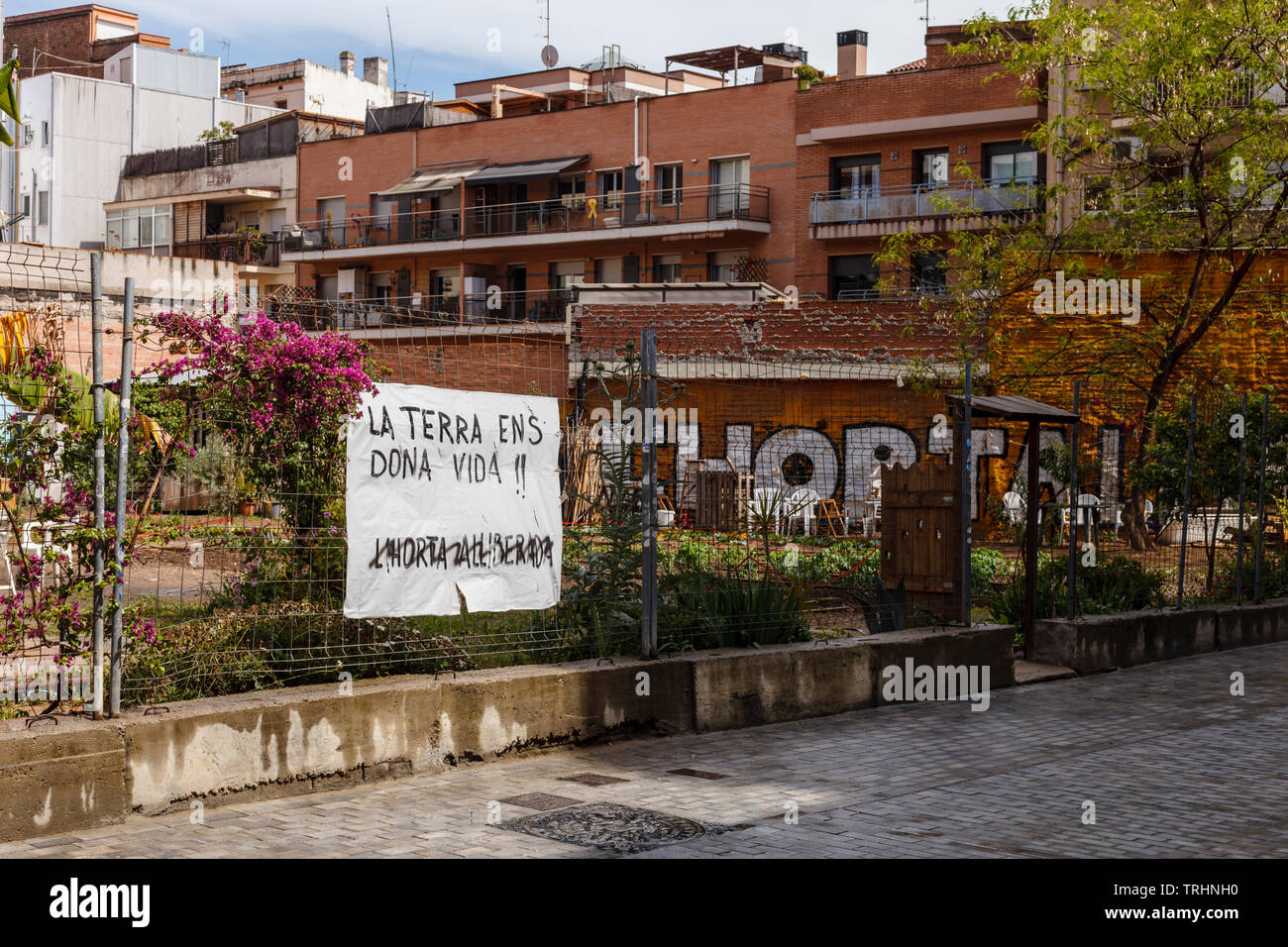 L'Horta Liberada de Sants, an urban garden reclaimed by local residents Stock Photo