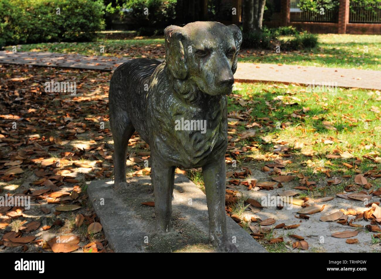 The Dog Statue Stock Photo Alamy
