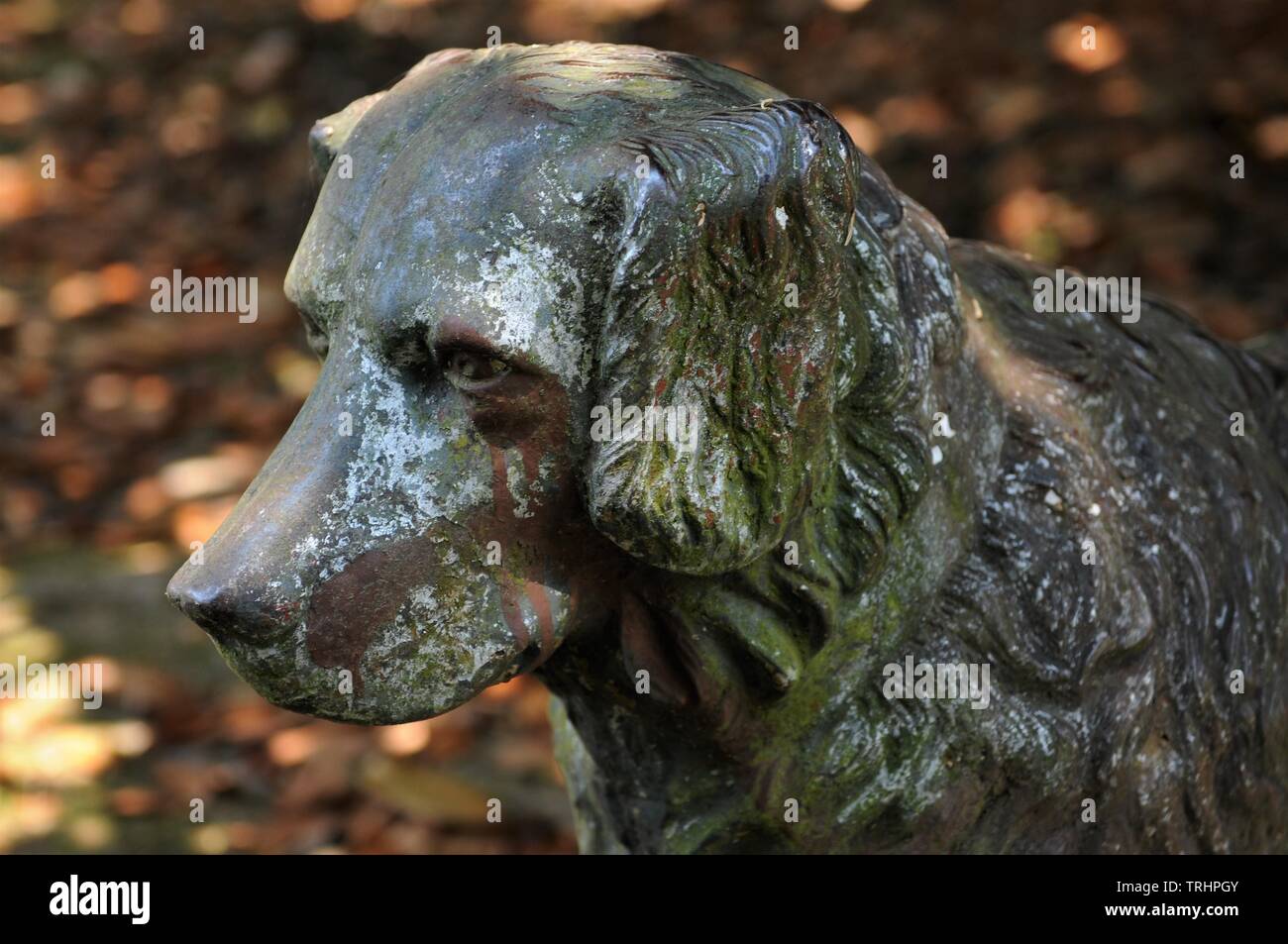 Mans statue hires stock photography and images Alamy
