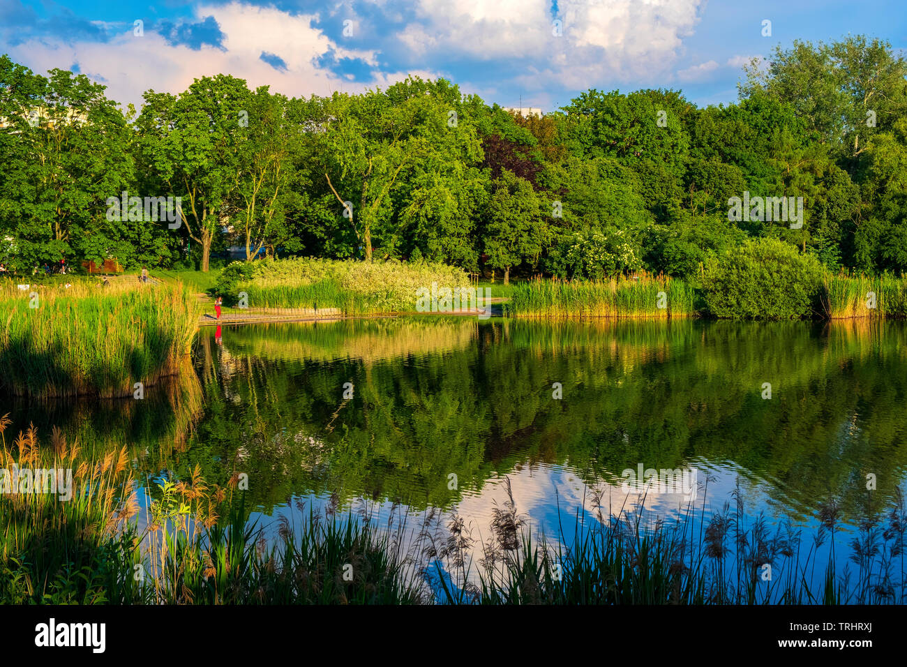 Parks in warsaw hi-res stock photography and images - Alamy