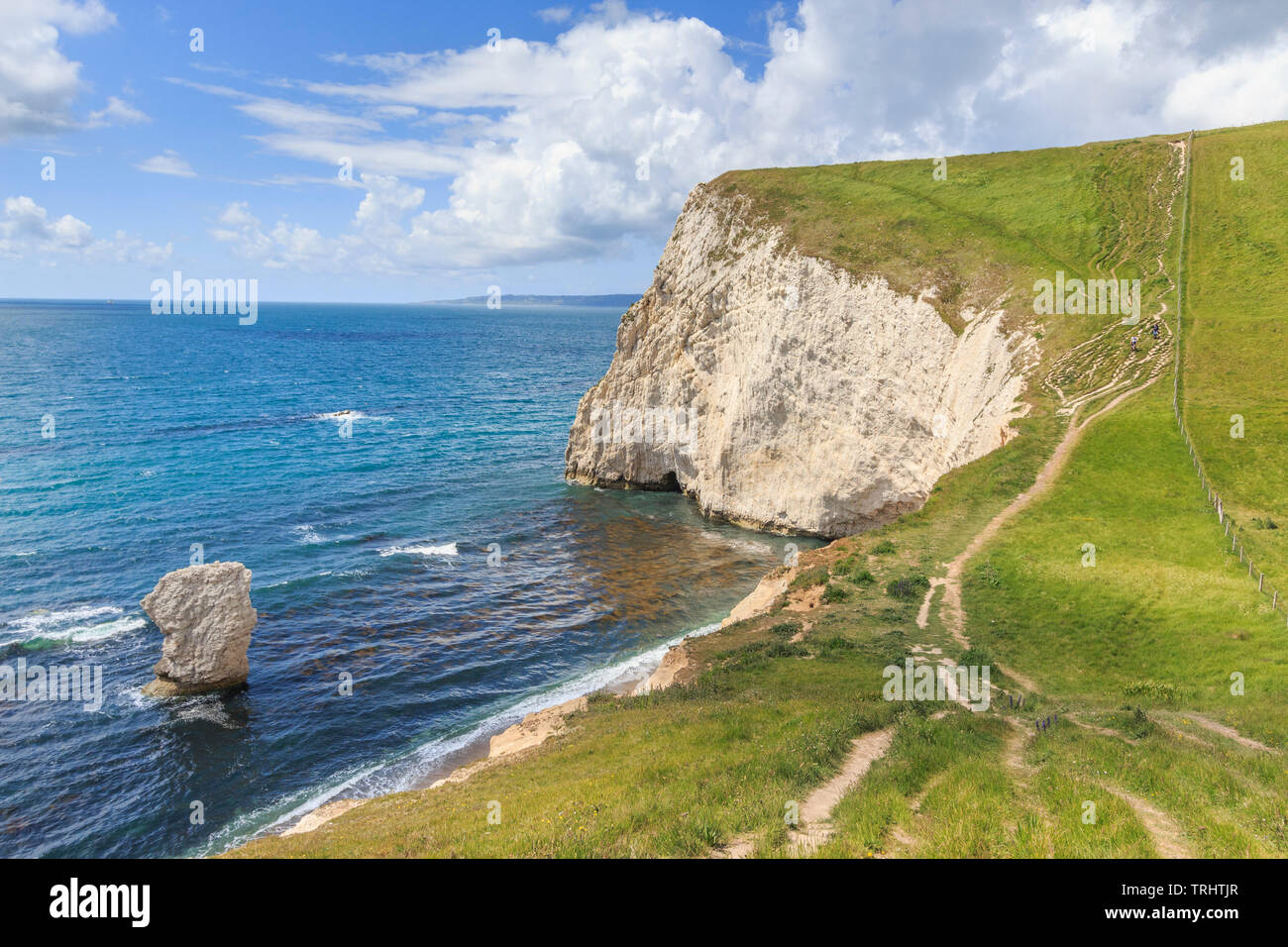 bat head,walk from durdle door to osmingon bay jurassic heritage coastline dorset england uk gb Stock Photo