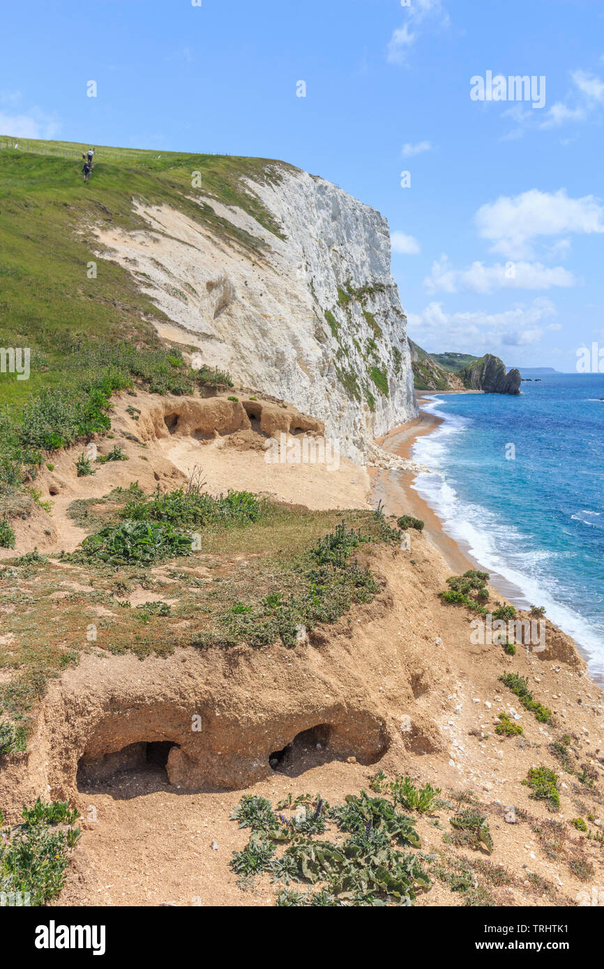 bat head,walk from durdle door to osmingon bay jurassic heritage coastline dorset england uk gb Stock Photo