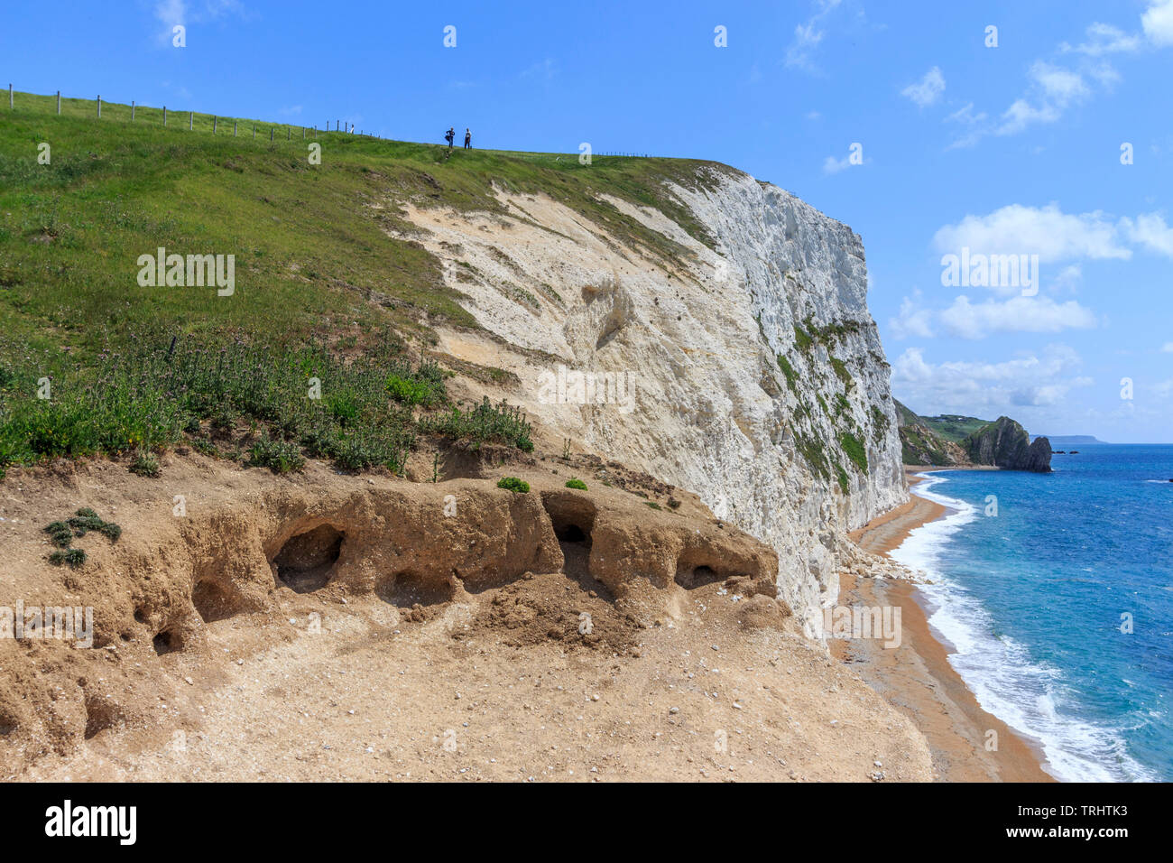 bat head,walk from durdle door to osmingon bay jurassic heritage coastline dorset england uk gb Stock Photo